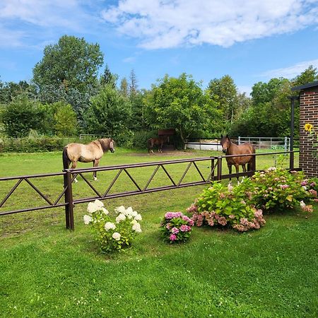 Poggenhagen Urlaub Mitten In Der Natur Neustadt am Rübenberge Esterno foto