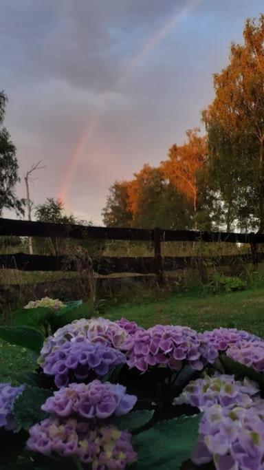 Poggenhagen Urlaub Mitten In Der Natur Neustadt am Rübenberge Esterno foto