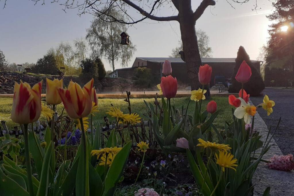 Poggenhagen Urlaub Mitten In Der Natur Neustadt am Rübenberge Esterno foto